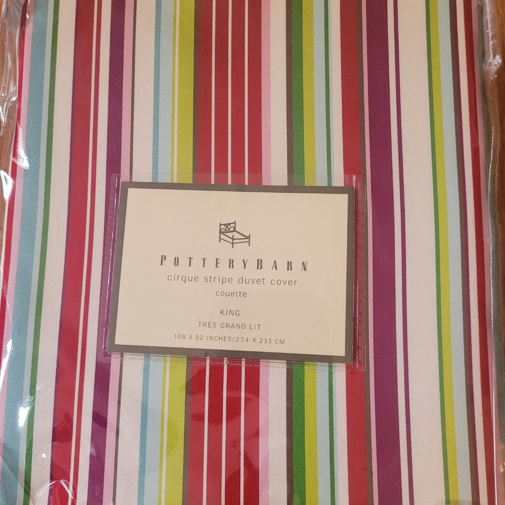 Pottery Barn Cirque Stripe Silk King Duvet Cover